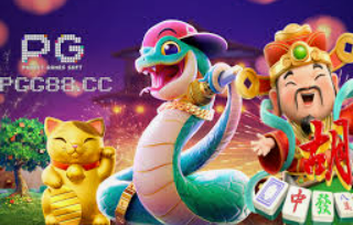 娱乐星空下载app免费版